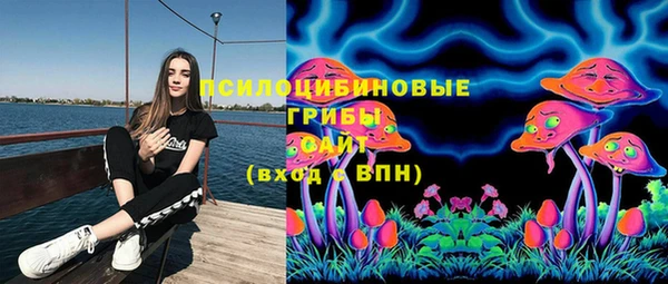 гидра Верея