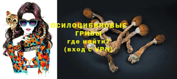 прущие грибы Верхний Тагил