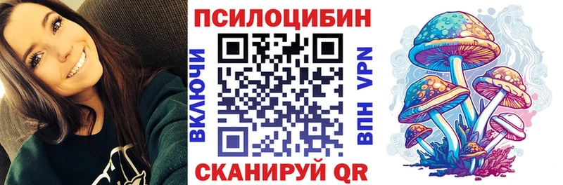 Галлюциногенные грибы Psilocybe  Горячий Ключ 